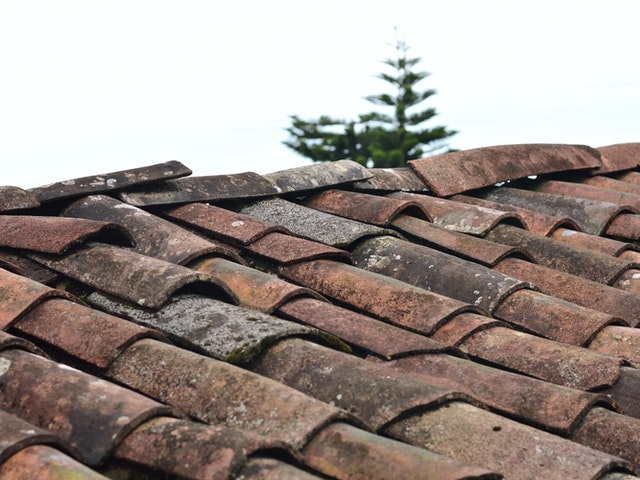 What Causes Roof Damage?